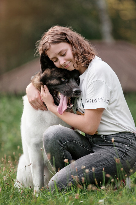Akita american